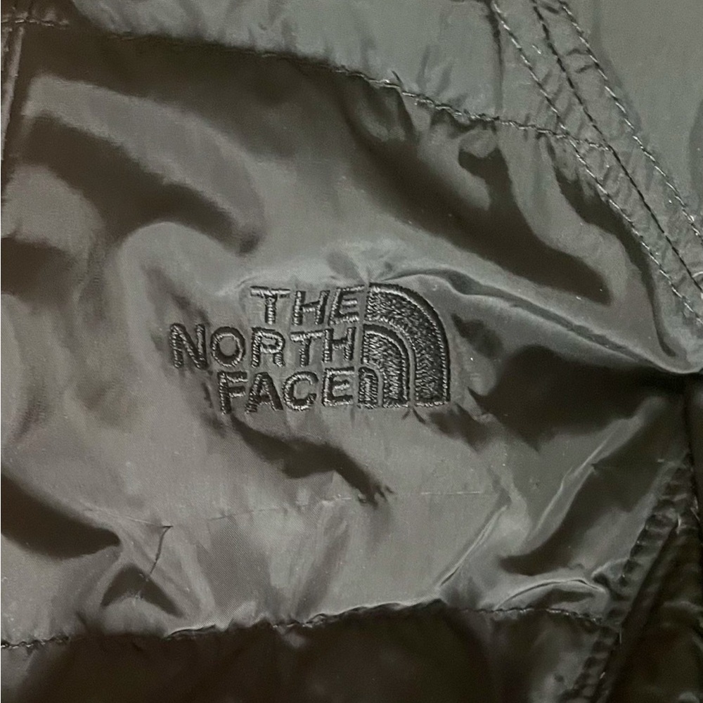The north face black puffer